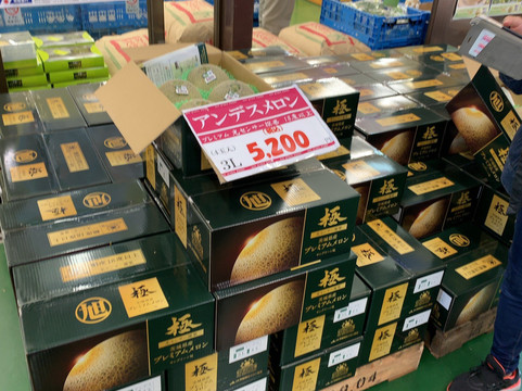 Sun Green Asahi-鉾田市必去景点