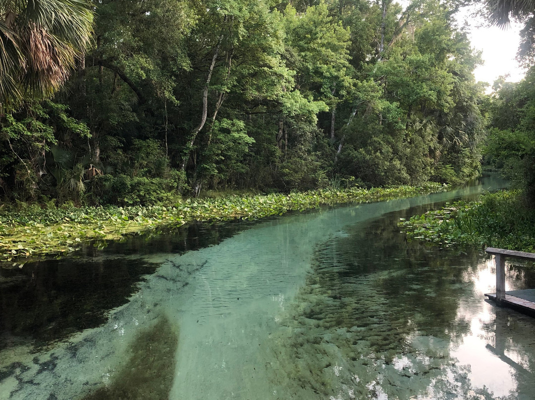Rock Springs Run-Apopka必去景点