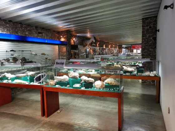 Parque Zoologico De San Luis Potosi景点图片