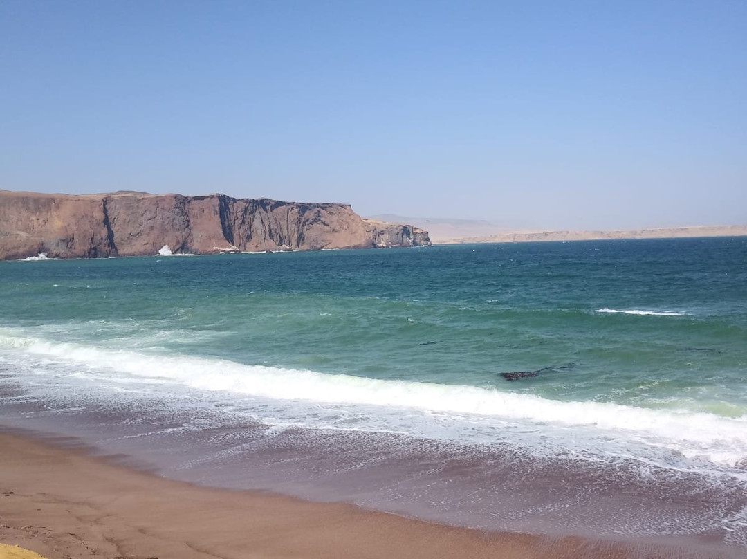 Museo De Sitio Julio C Tello De Paracas-帕拉卡斯必去景点