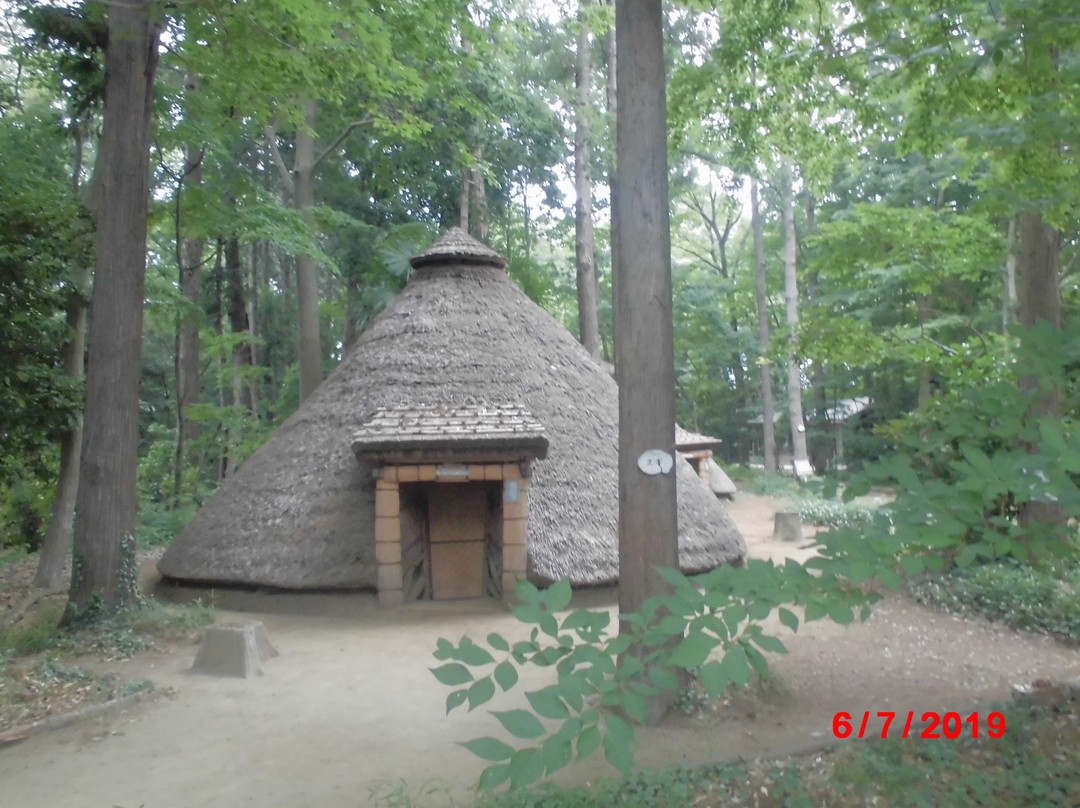 Matsudo Museum-松户市必去景点