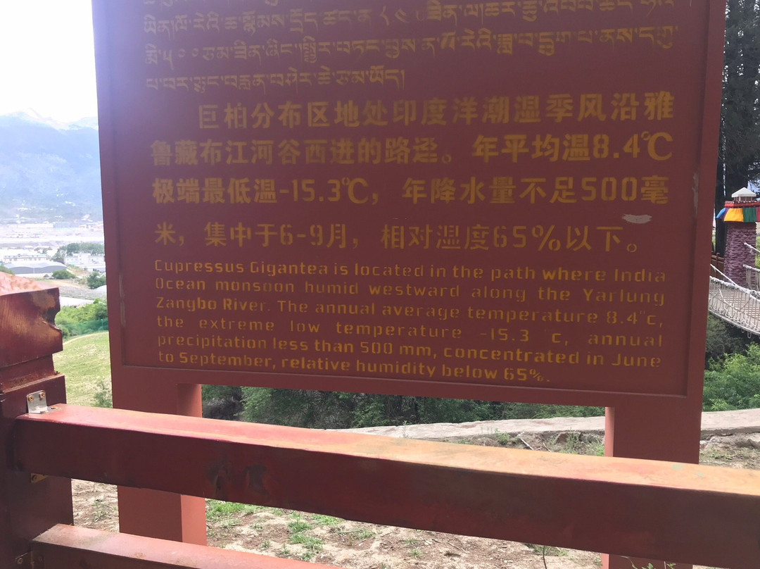林芝巴结巨柏自然保护区-林芝县必去景点