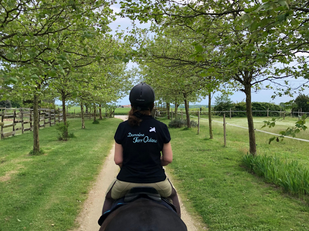 Domaine Terrocéane主图