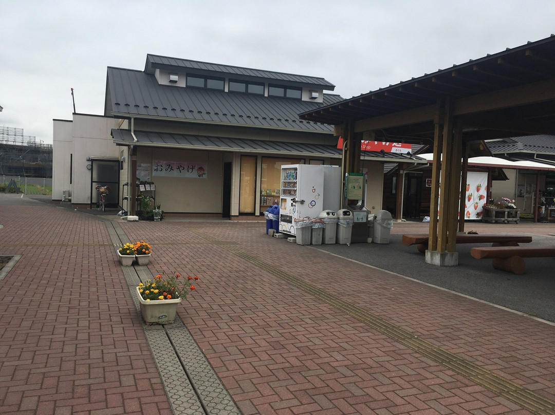 Michi No Eki Nishikata-栃木市必去景点