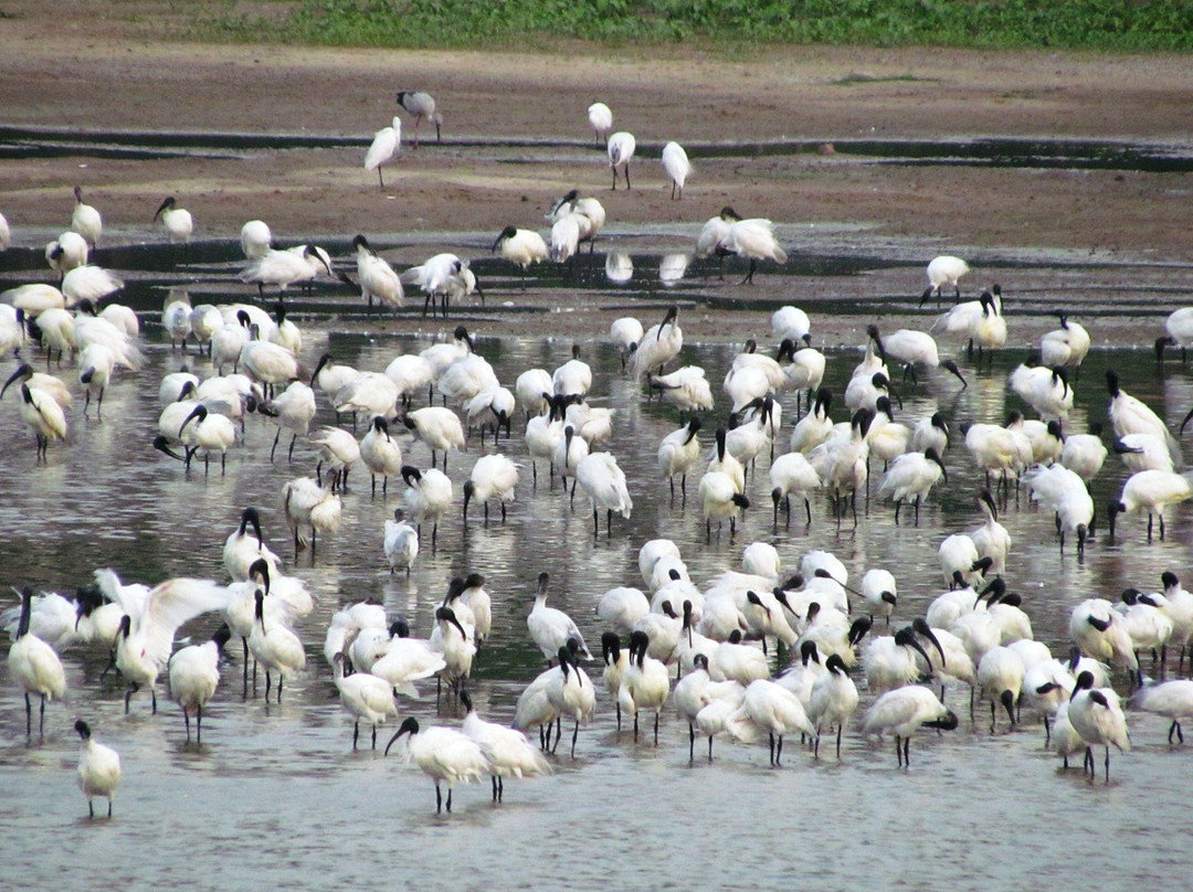 Agara Lake景点图片