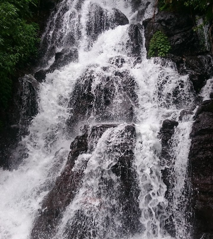 Jembong Waterfall景点图片