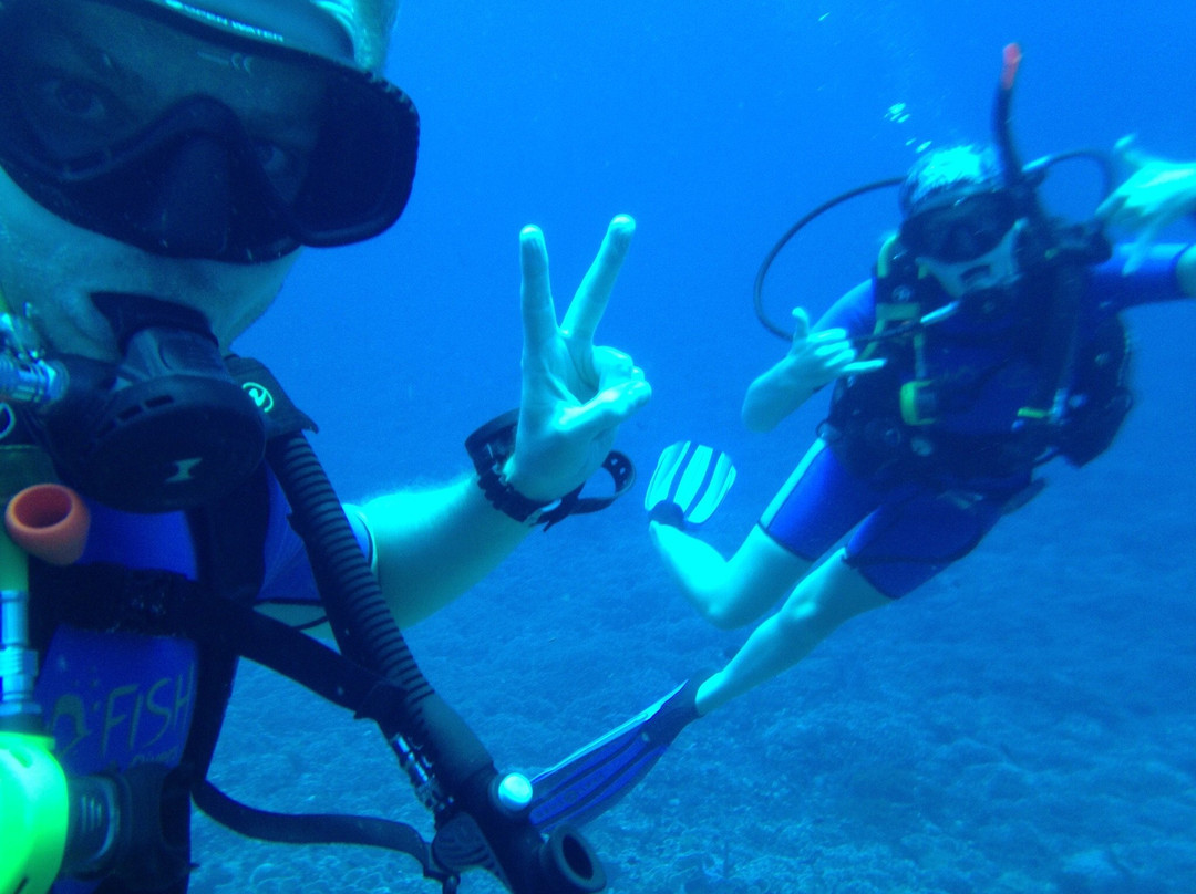 Two Fish Divers Gili Air景点图片