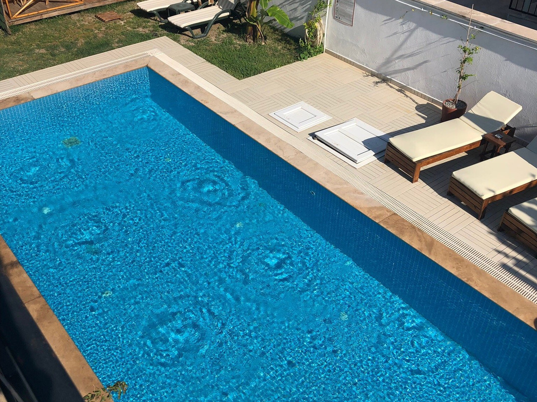 Casa Pallet Hotel主图