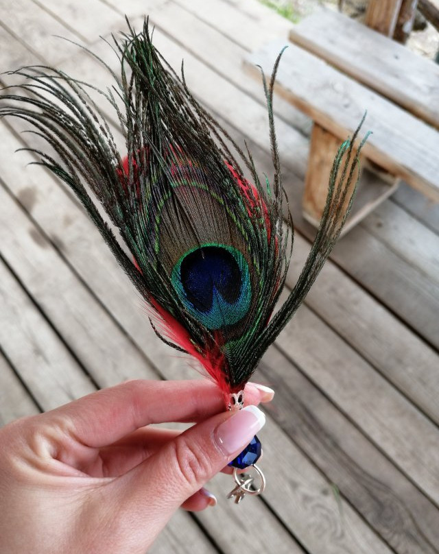 Ostrich Valley-Sarafanovo必去景点