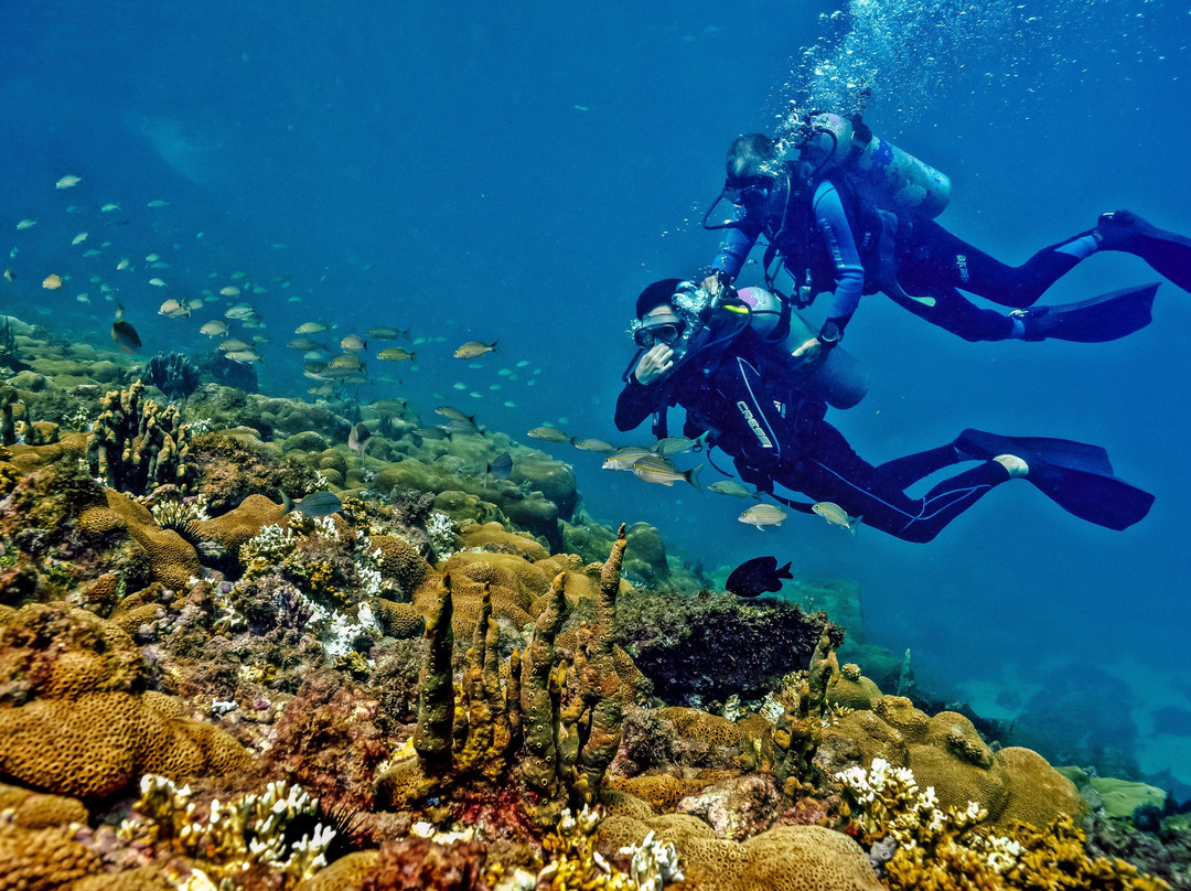 Trips In Rio-里约热内卢必去景点