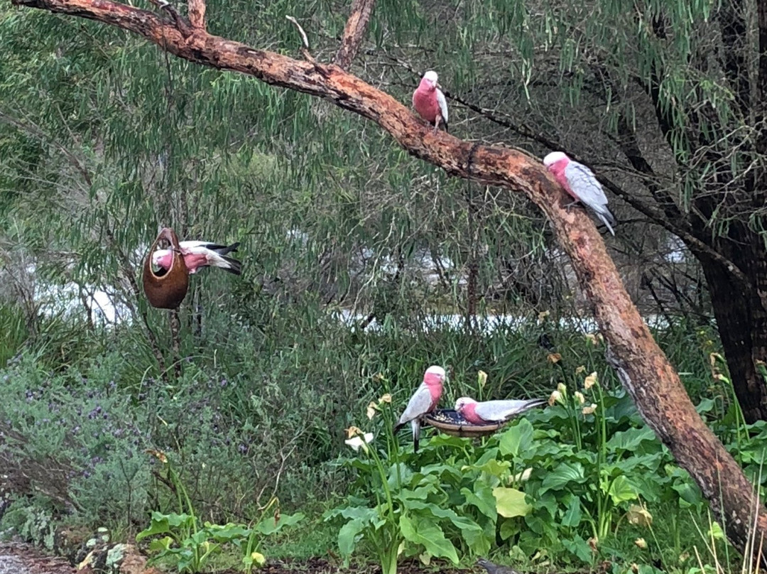 Llewellin's Guest House主图