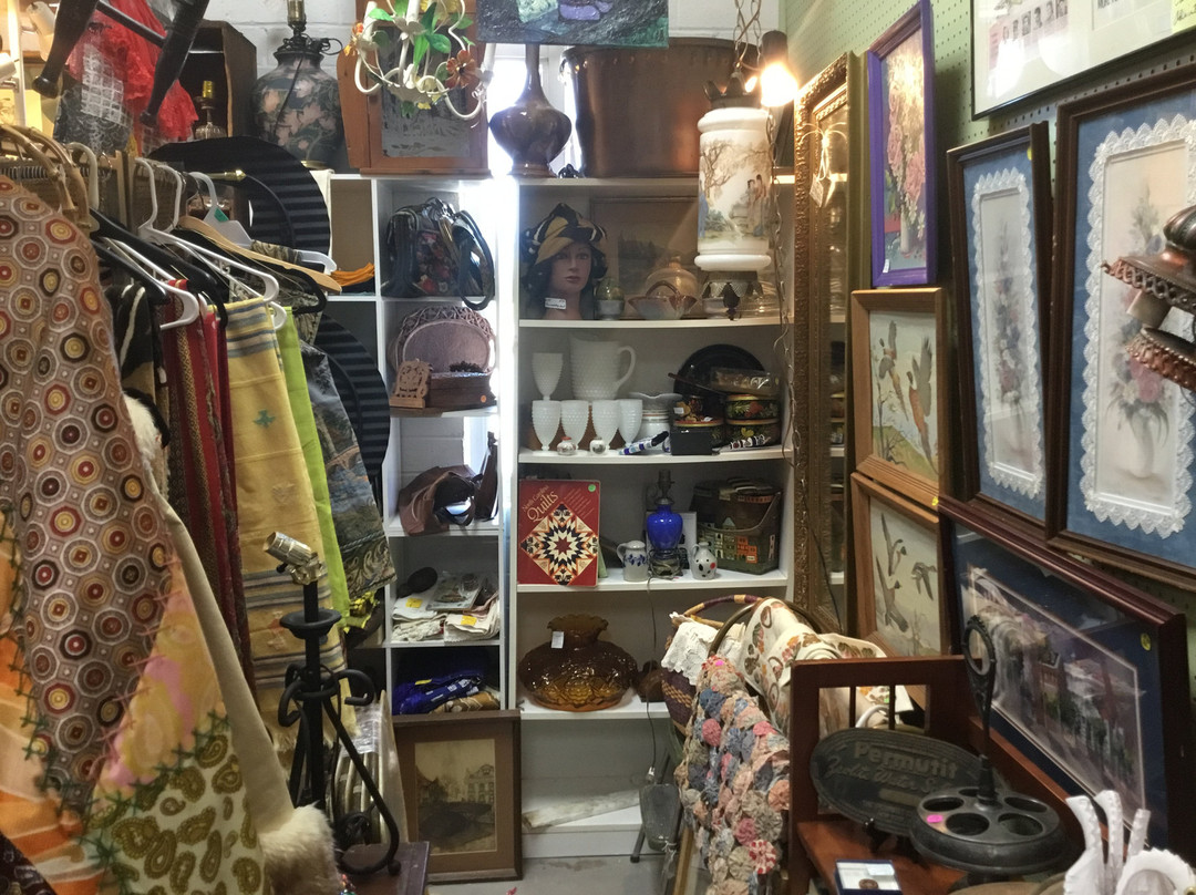 Treasures on the Lane景点图片