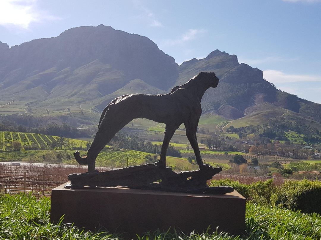 Double Gold Tours-开普敦中心区必去景点