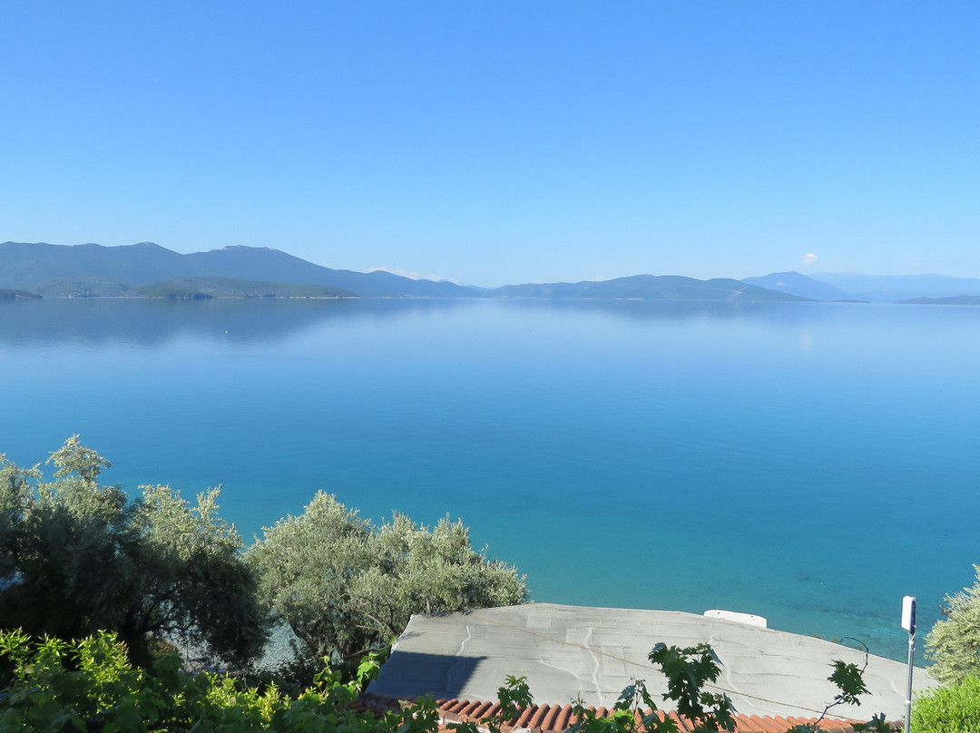 Diplomats' Holidays主图