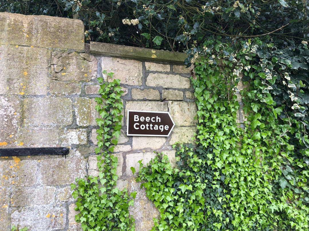 山毛榉小屋住宿加早餐旅馆主图