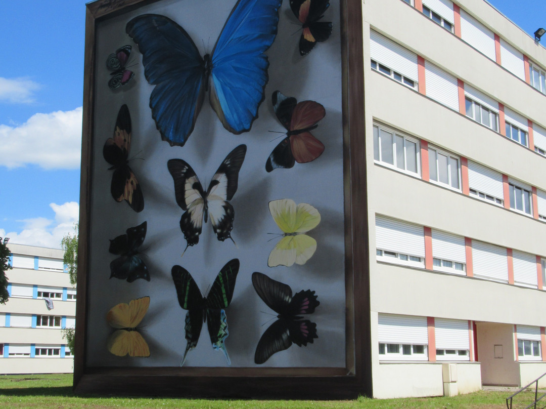 Fresque "Collection de papillons"景点图片