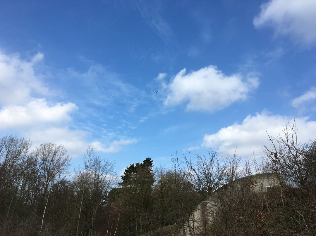 Volkssterrenwacht Copernicus-Overveen必去景点