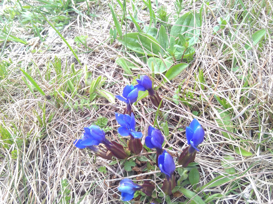 Nature in Colour-Nova Vas必去景点
