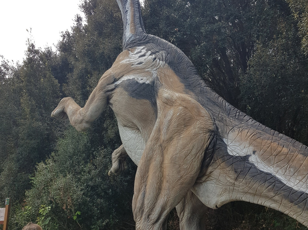 Dinosauri in Carne E Ossa-Fregene必去景点