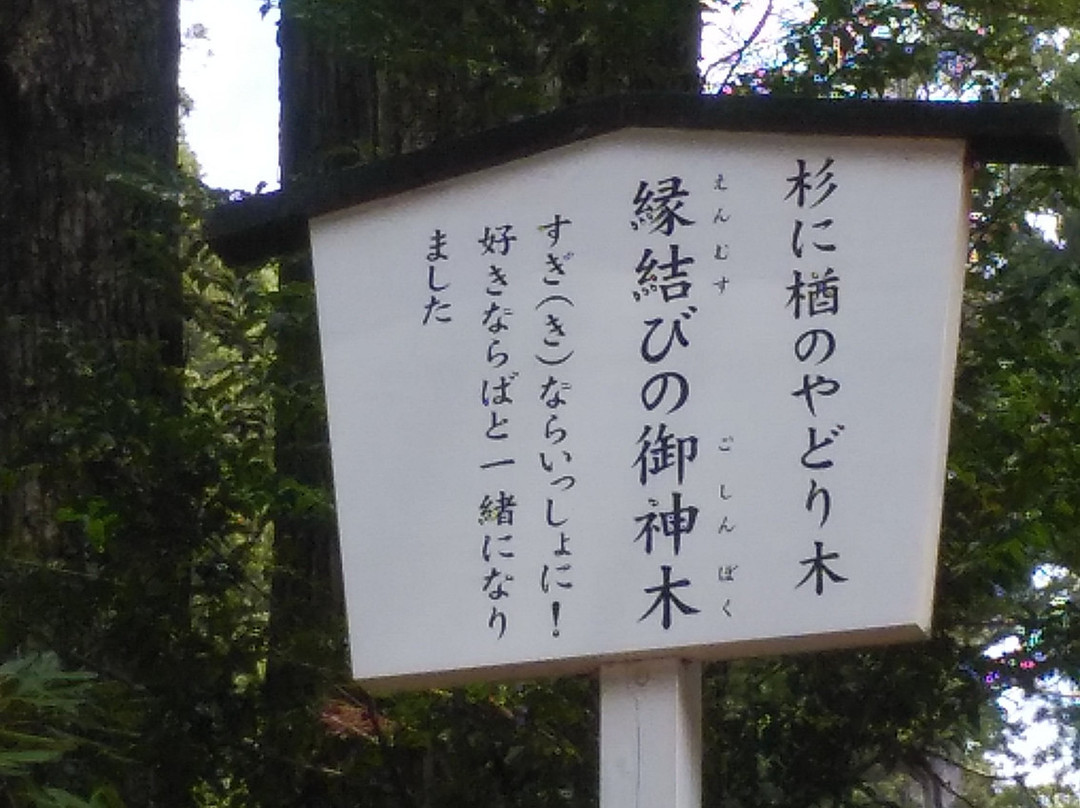 En Musubi no Ki-日光市必去景点