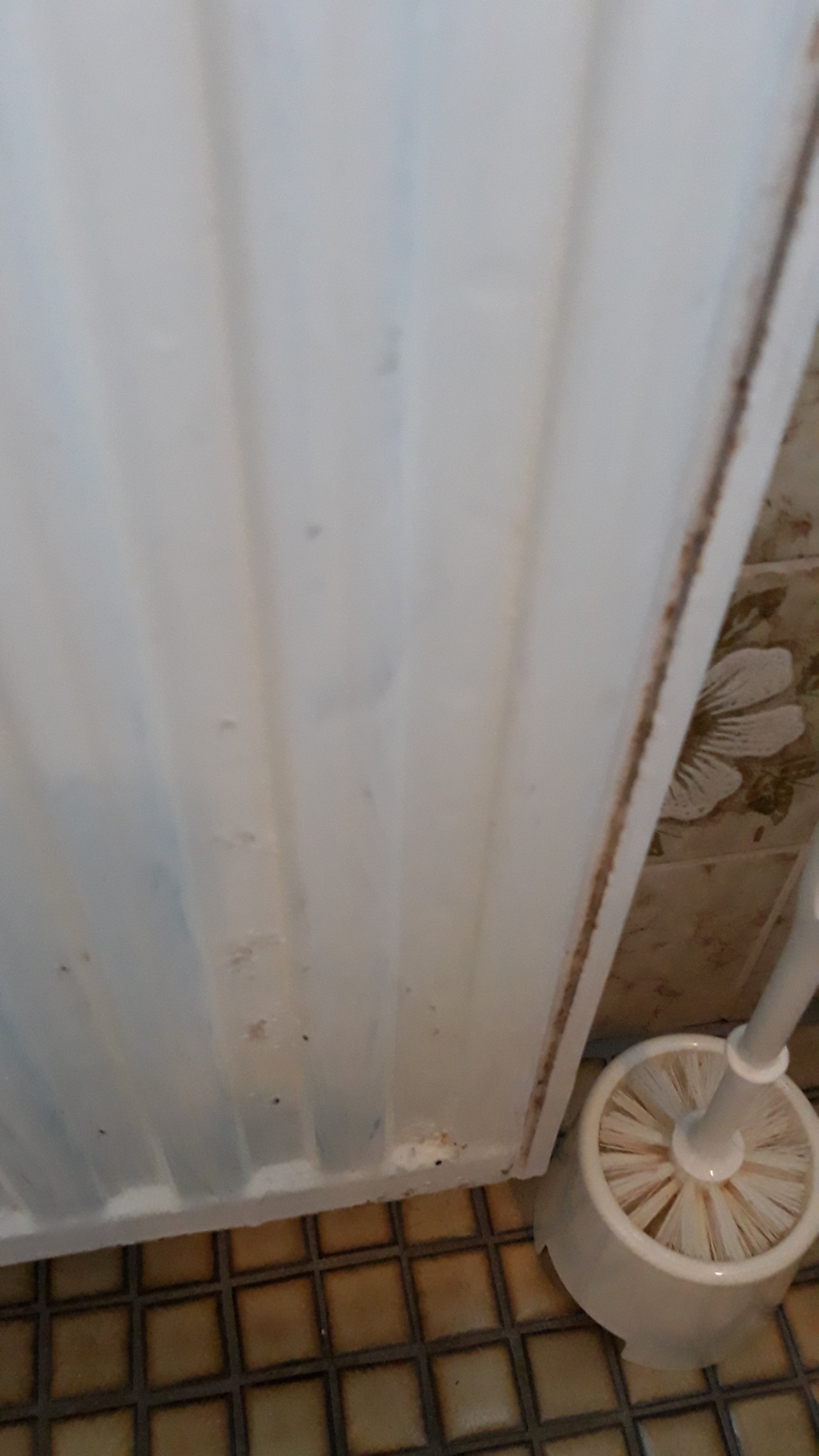 Hotel Im Tannengrund-浴室