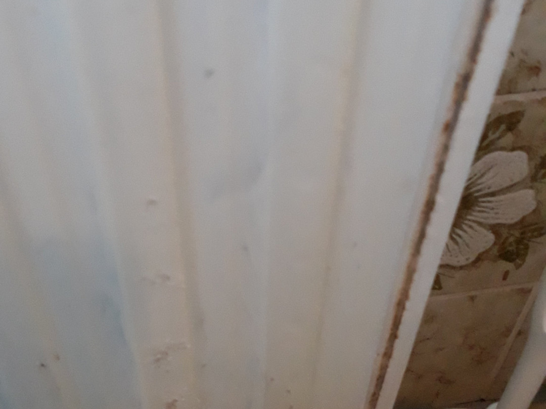 Hotel Im Tannengrund主图