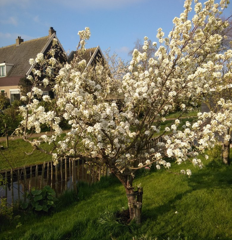 Guesthouse Boom主图