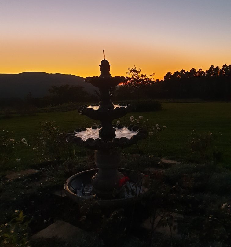 Thyme Out Weltevreden Farm主图