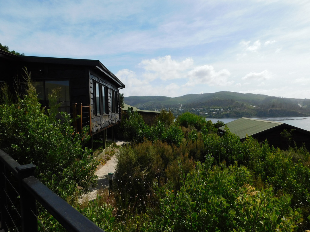 Elephant Hide Of Knysna Guest Lodge主图
