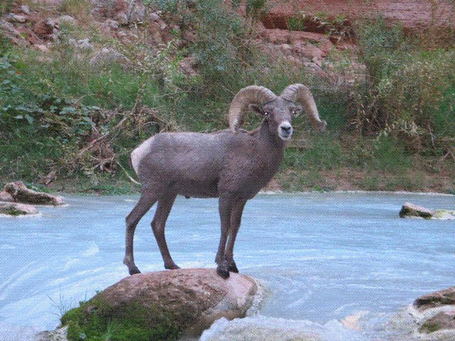 Dvorak Expeditions-Nathrop必去景点