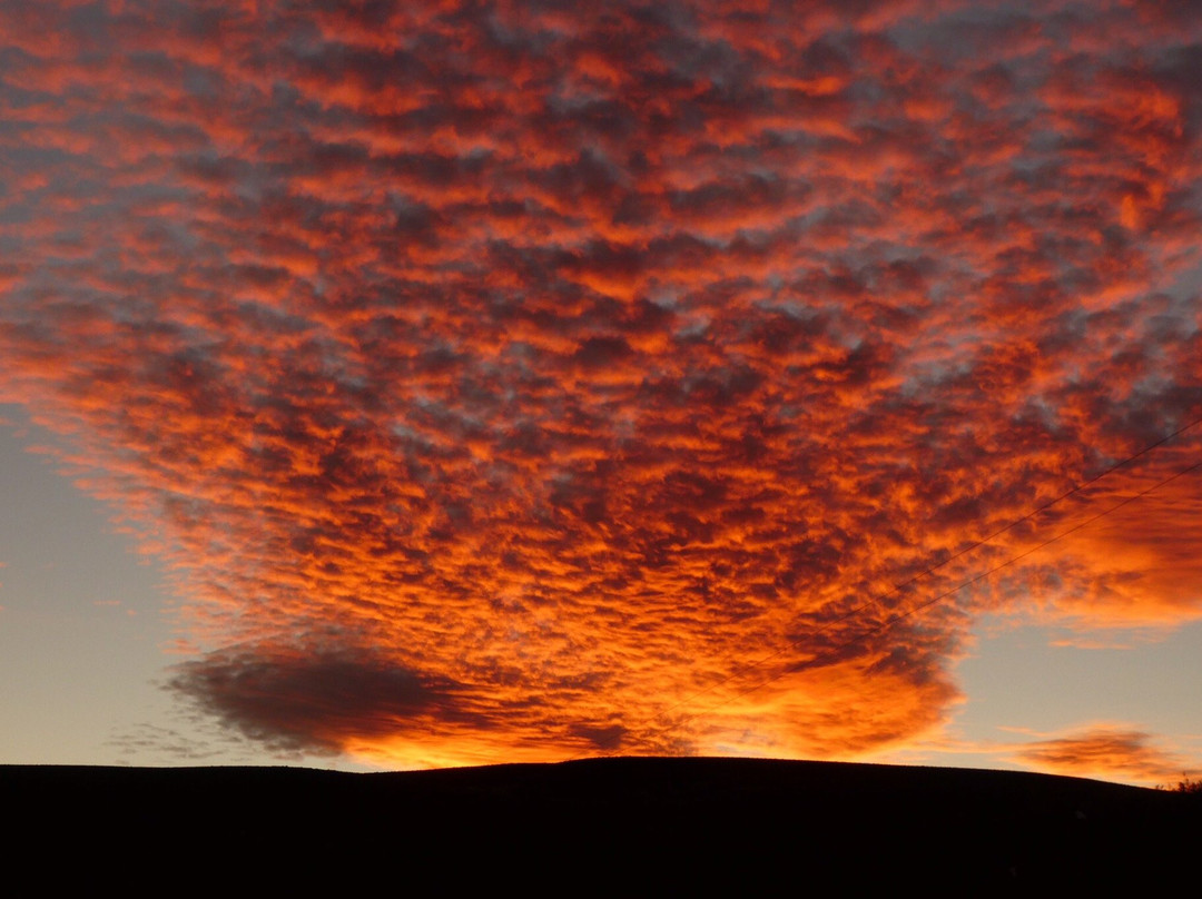 Middelfontein Farm主图