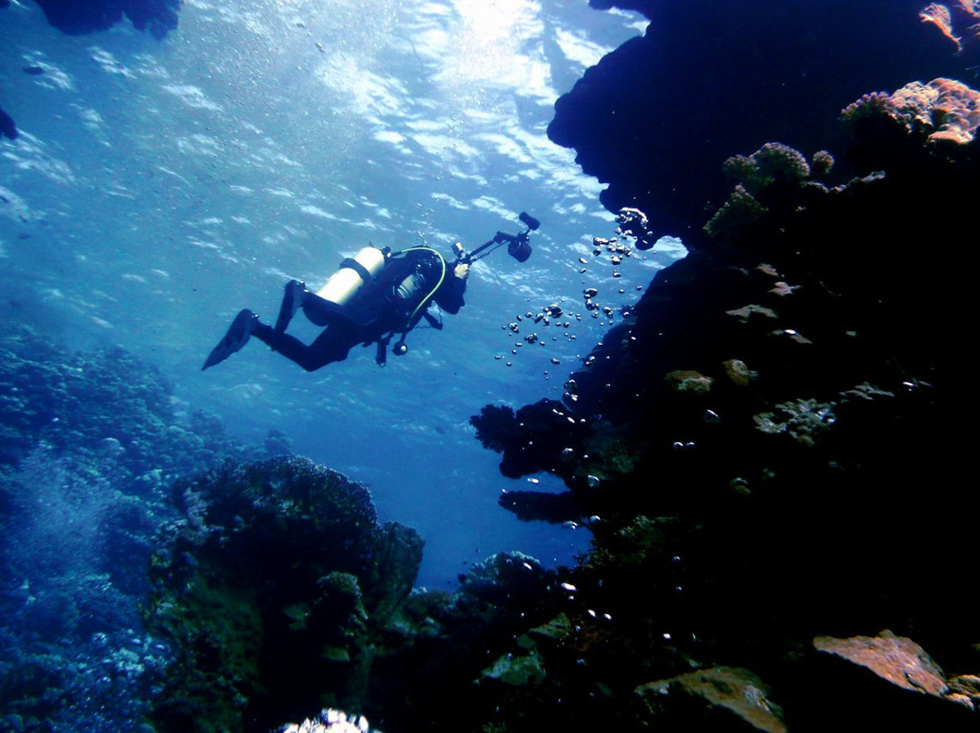 Free Willy Diving-沙姆沙伊赫必去景点