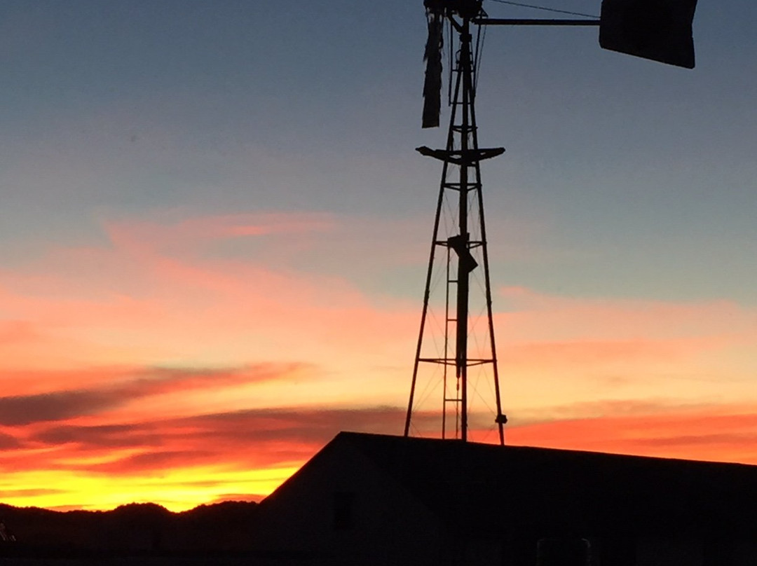 Kuilfontein Stable Cottages主图