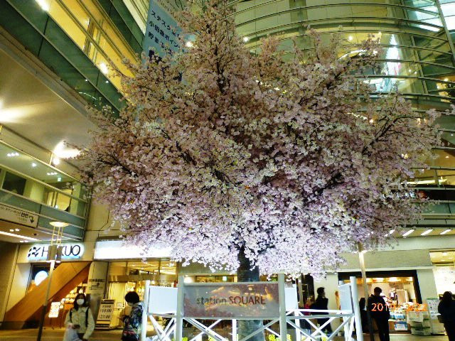 Sagamiono Station Square景点图片