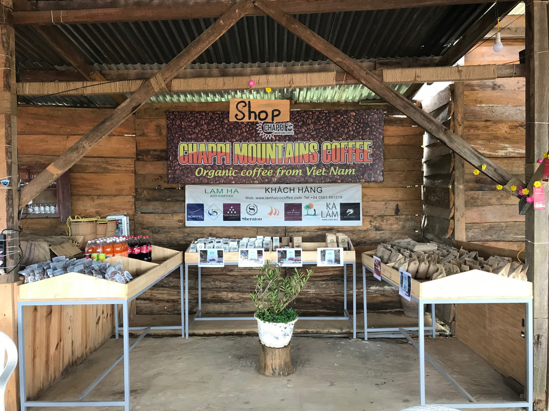 Chappi Mountains Homestay Bungalows & Coffee Resting Station主图