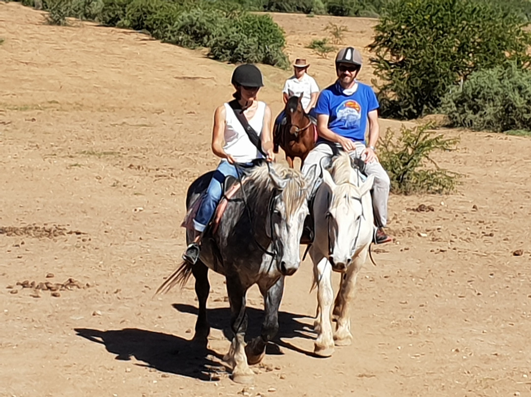Gamka River Safari Co. - Day Rides-Calitzdorp必去景点