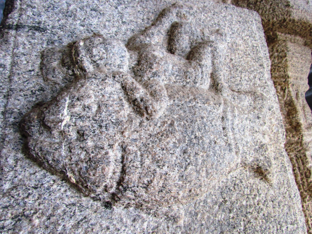 Virinjipuram Temple景点图片