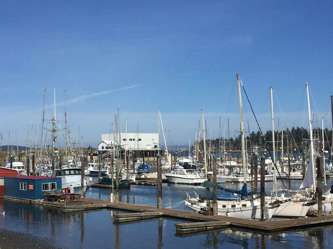 Charleston Marina Complex-Charleston必去景点