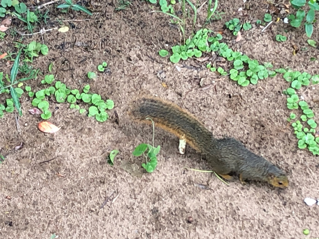 Mabibi Beach-Mabibi必去景点