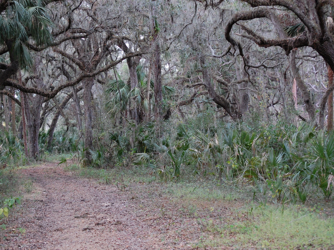 Marshall Hampton Reserve-温特黑文必去景点
