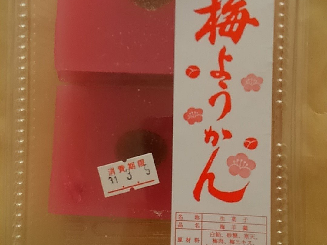 Mt. Tsukuba Ume Blossom Matsuri-筑波市必去景点
