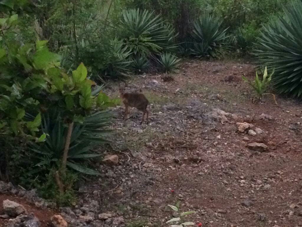 卡沙精品酒店-浴室