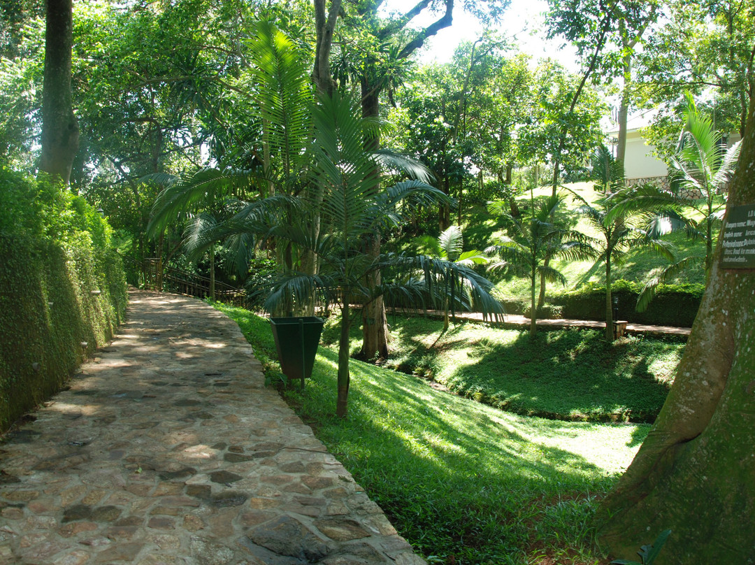 Miika Eco Resort Hotel主图