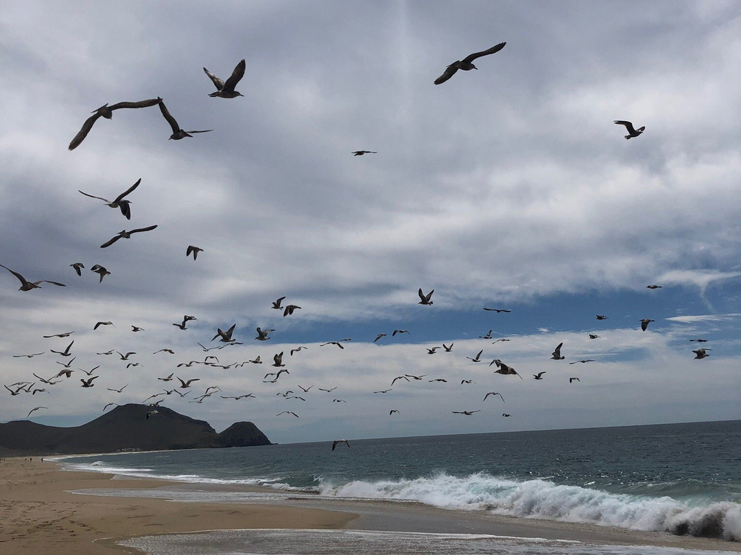 Playa La Cachora景点图片