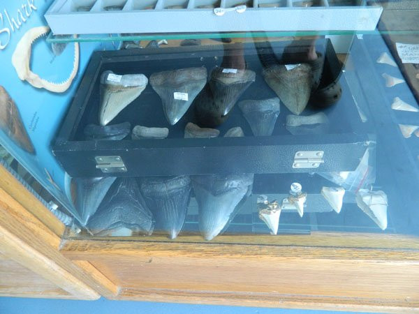 Pirates Dream-恩格尔伍德必去景点