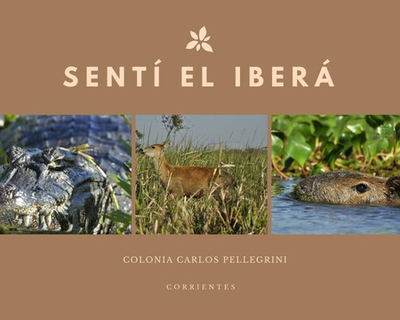 Tierra Colorada Turismo-San Ignacio必去景点