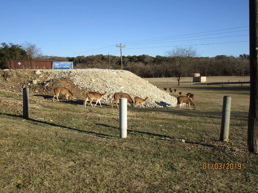 Bandera City Park-Bandera必去景点