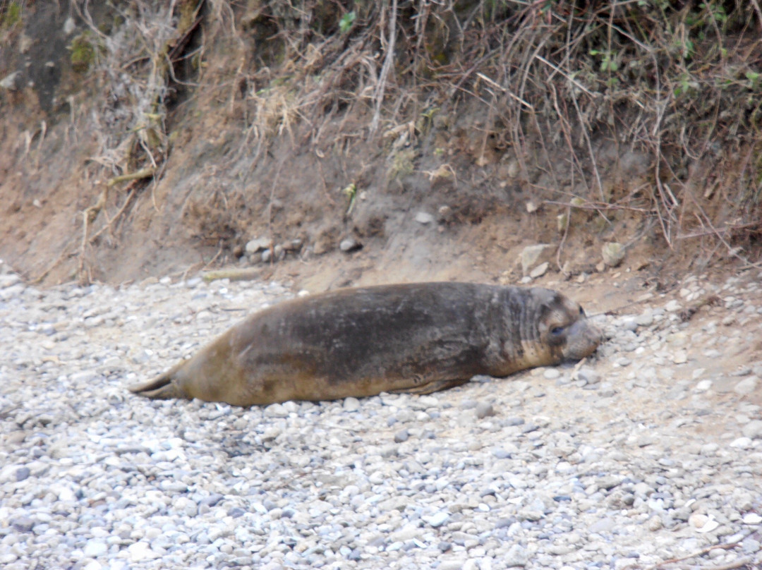 Chimney Rock Trail-红杉&国王峡谷国家公园必去景点