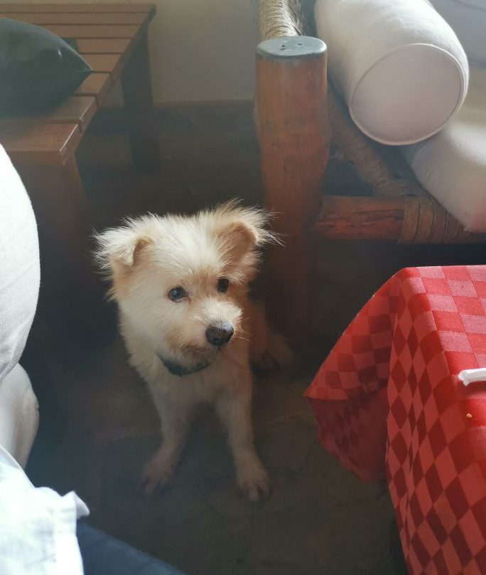 Skydive Diani-迪亚尼必去景点