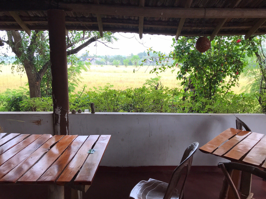 Lake Safari Eco Home主图